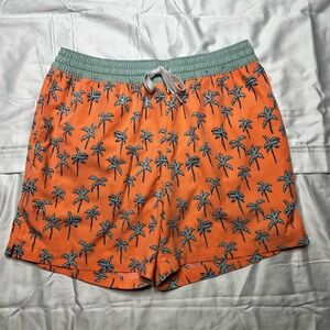 chubbies palm shorts
